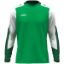 Afbeeldingen van Longsleeve Dynamic groen/wit/donkergroen